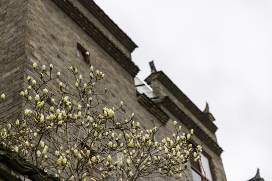 江西婺源思溪延村清代古民居文物保护