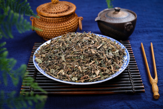 中药材旱莲草