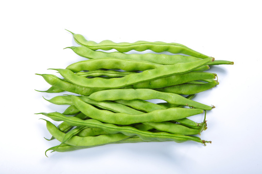 四季豆