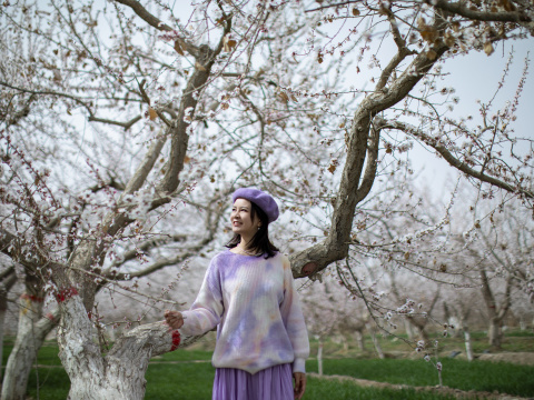 春天杏花盛开的年轻女子