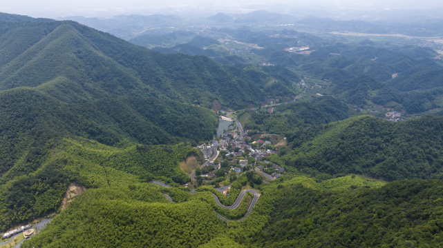 中国浙江杭州径山竹山竹林竹海大气治愈
