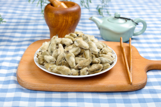 中医药材辛夷花1