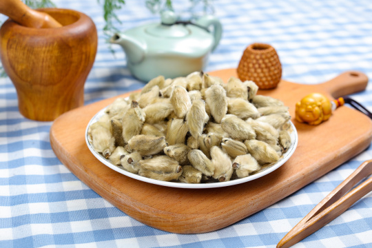 中医药材辛夷花3