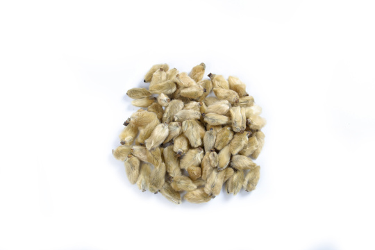 中医药材辛夷花10