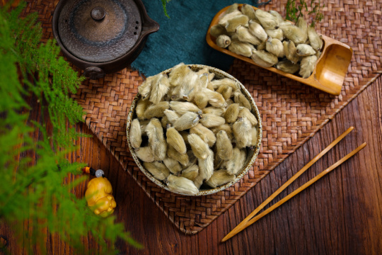 中医药材辛夷花26