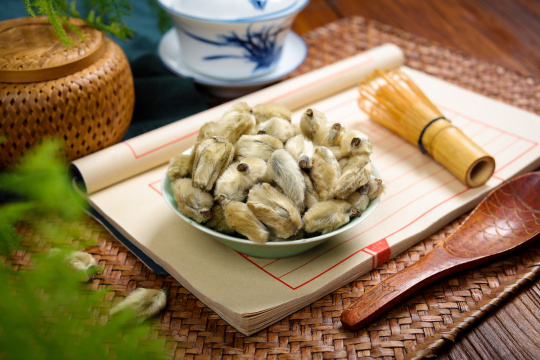 中医药材辛夷花28