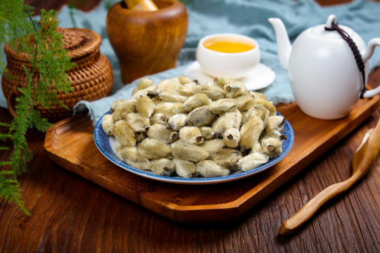 中医药材辛夷花31