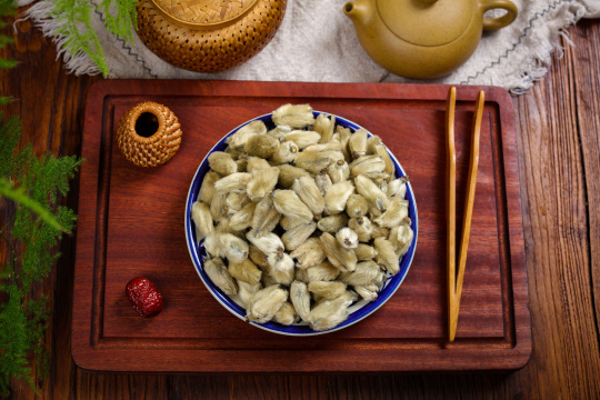 中医药材辛夷花35