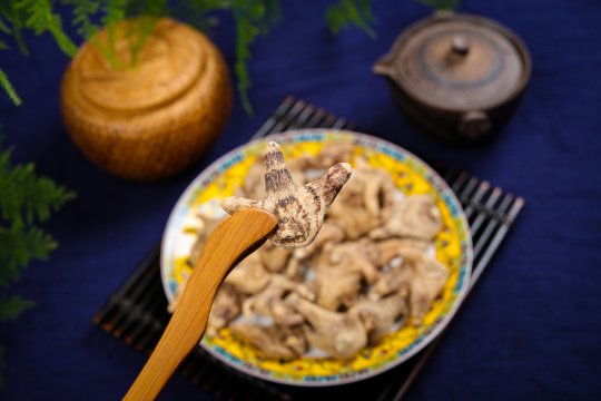 中药材白芨