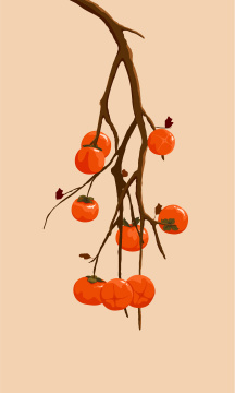 柿子插画素材