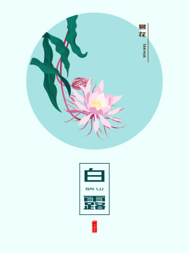白露昙花