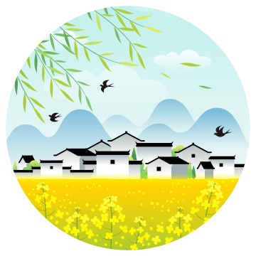 春天柳叶乡村和油菜花