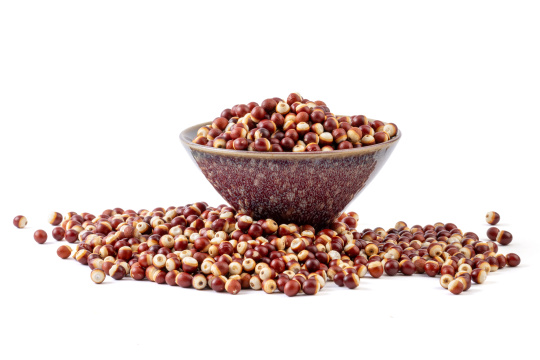 干芡实鸡头米鸡头果