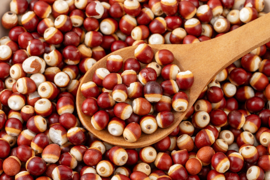 干芡实鸡头米鸡头果