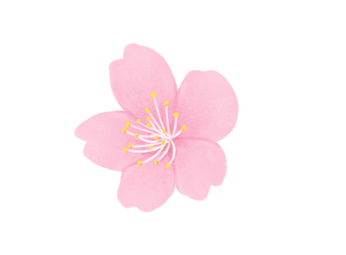 一朵粉色樱花元素插画