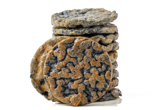 五黑奶酪小雪饼