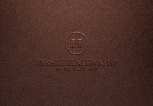 压纹浮雕标志模型模板、纹理纸、品牌塑造、品牌标识效果 