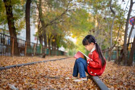 深秋季节小女孩在落叶满地的户外
