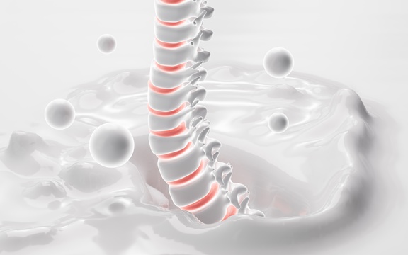 人类脊椎骨和补钙概念3D渲染