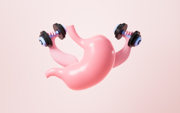 加强人类胃部消化功能强化消化系统创意图3D渲染