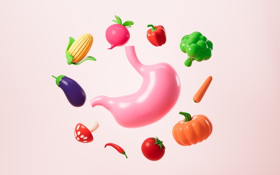 健康的饮食和人类胃部创意图3D渲染