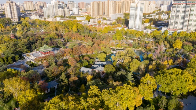 西安兴庆宫公园航拍