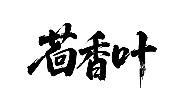 茴香叶矢量书法手写毛笔字