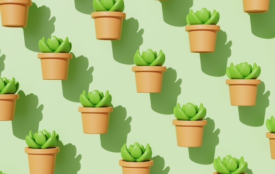 园艺多肉绿色植物盆栽3D