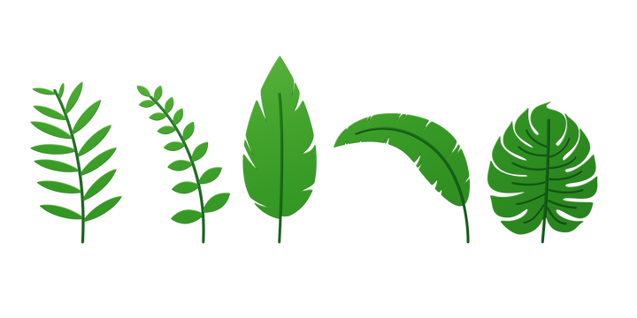 免抠绿化植物清新叶子树苗春天3D