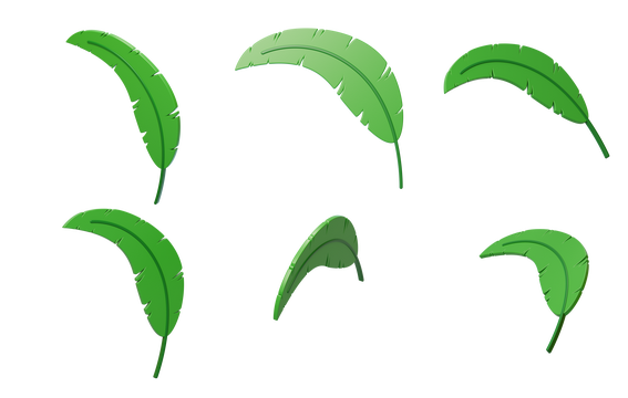 免抠绿化植物清新叶子树苗春天3D