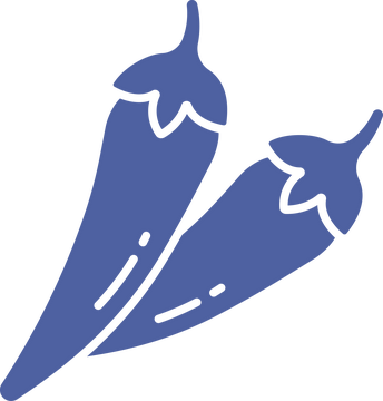 墨西哥文化实心图标 - SVG免抠素材