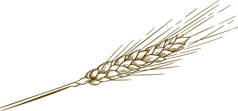 手绘麦穗图标 - SVG免抠素材