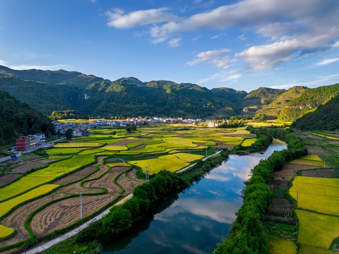 贵州腊利梯田 金色稻田间的宁静村庄 秋收