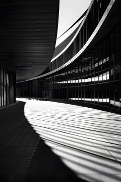 带有弧形屋顶和长走道的建筑物的鸟瞰图