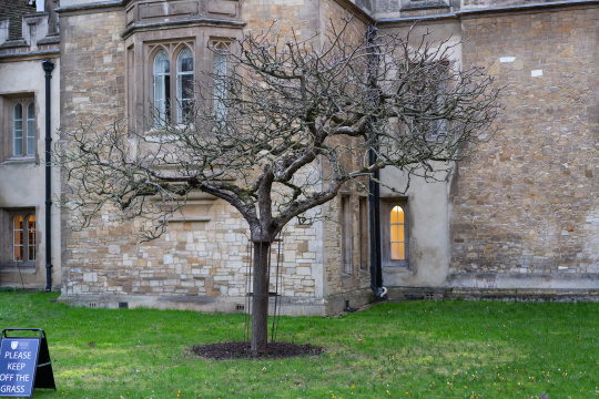 英国伦敦城市建筑风光