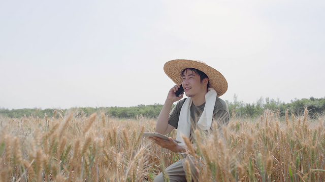农民在麦田里使用手机打电话