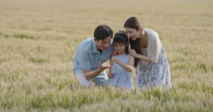 快乐的年轻家庭在麦田里玩耍