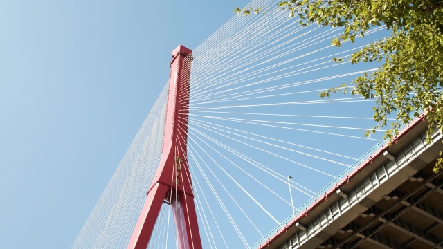 蓝天白云下的斜索拉桥