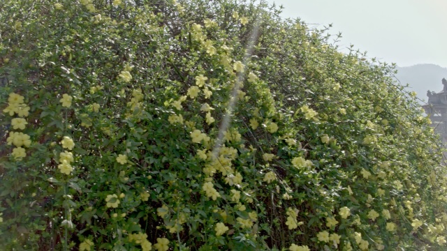 杭州景区 航拍视频