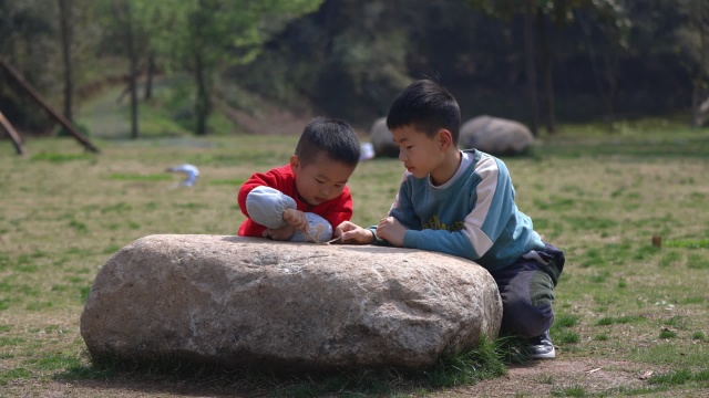 春天阳光下兄弟两人在玩耍 视频