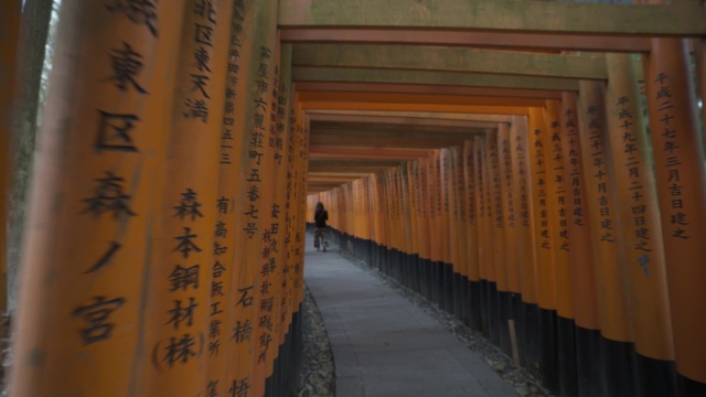 日本伏见稻荷大社 视频