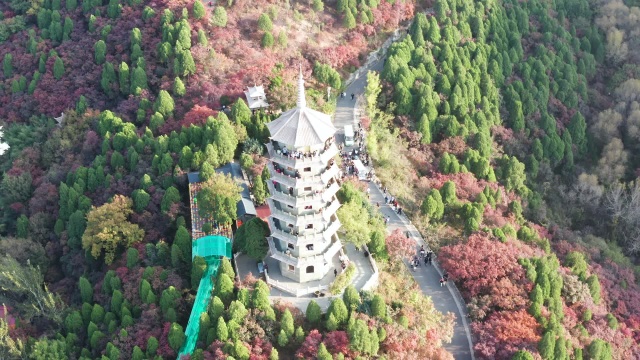 山东济南红叶谷秋季红叶航拍